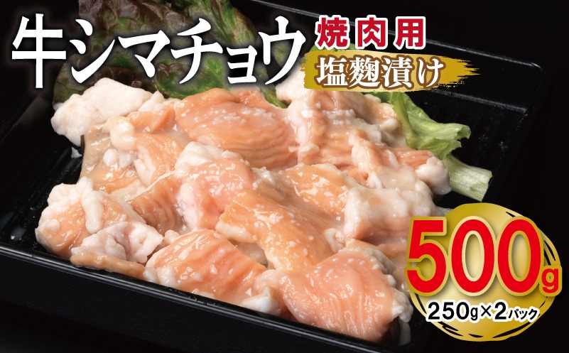 G3450 牛シマチョウ 焼肉用 塩麹漬け 500g【味付け 小分け 250g×2P 焼くだけ 簡単調理 BBQ 牛肉 ホルモン お試し】