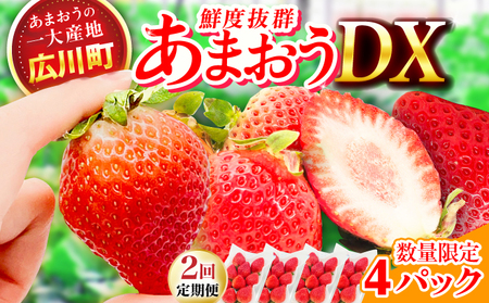 【2回定期便】博多あまおう 2ケース　広川町 / JAふくおか八女農産物直売所どろや[AFAB079]