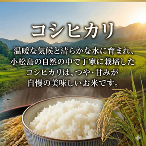 【配送時期が選べる】米 コシヒカリ 20kg 小松島市 令和7年産 精米 白米 お米