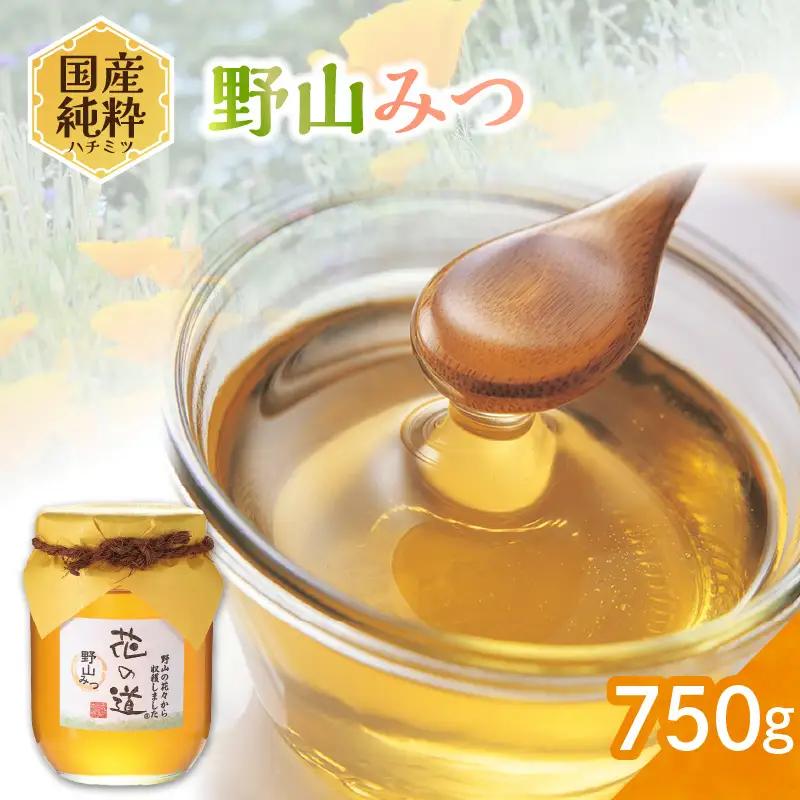 国産純粋蜂蜜 野山みつ 750g 非加熱 はちみつ ハチミツ 生はちみつ ローハニー オススメ 贈答 贈り物 プレゼント 八女市 183-027