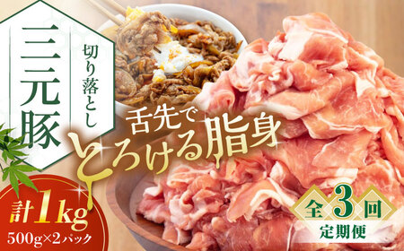 【全3回定期便】 三元豚 切り落とし 計1kg（500g×2パック） 《喜茂別町》【平田牧場】切り落とし 切り落とし 切り落とし 切り落とし  切り落とし 切り落とし [AJAP031] 33000 33000円