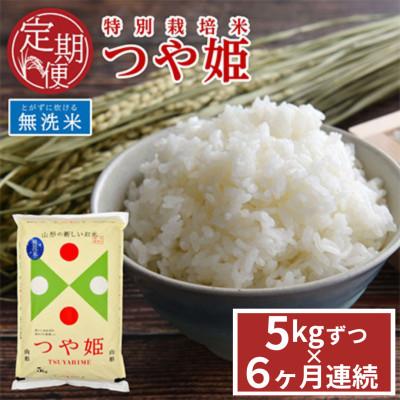 ふるさと納税 酒田市 【発送月固定定期便】山形県産　つや姫　無洗米　5kg　農家直送　全6回