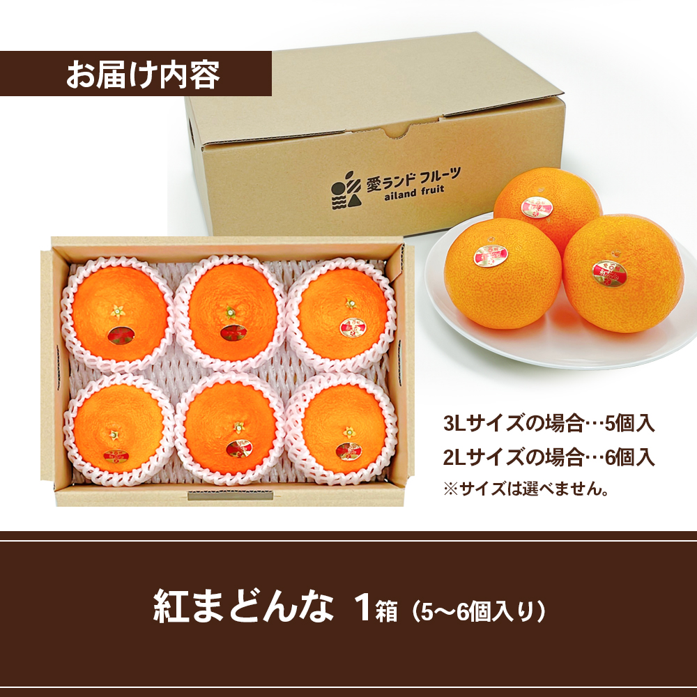 【箱数限定！申込12月7日まで】紅まどんな　1箱（5～6個入り）11月下旬から順次発送 ＜期間限定 数量限定 ミカン みかん 柑橘 高級品 正規品 紅マドンナ フルーツ 果物 スイーツ おやつ 愛媛県