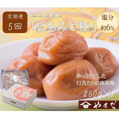 【2ヵ月毎定期便】紀州南高梅はちみつ極塩分約6%(850g)全5回【4086710】