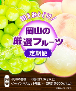 フルーツ 定期便 桃 シャインマスカット 先行予約 岡山の厳選フルーツ 定期便2回コース 岡山の白桃 6玉(1.6kg以上) シャインマスカット 晴王 2房(1房600g以上) 化粧箱入り ギフト 贈