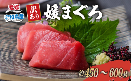 【2025年12月26日発送】 訳あり 本マグロ ブロック 450～600g 媛まぐろ ダイニチ 鮪 刺身 国産マグロ 養殖マグロ 本鮪 クロマグロ マグロ 赤身 中トロ 大トロ 部位 指定不可 漬け ネギトロ アレンジ 訳アリ 訳あり品 訳有り わけあり 人気 海鮮 海の幸 魚 魚介 産地直送 数量限定 国産 愛媛 宇和島 D011-031005-251226