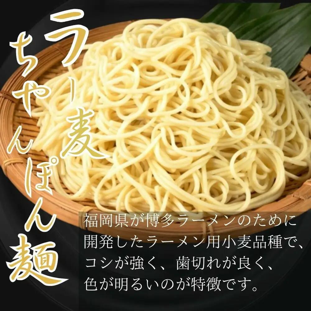 【2人前ｘ10セット】博多の老舗醤油屋さんのこだわりスープのもつ鍋セット！！福岡特産ラー麦100％使用のちゃんぽん麺付き | 食品 加工食品 おすすめ 送料無料