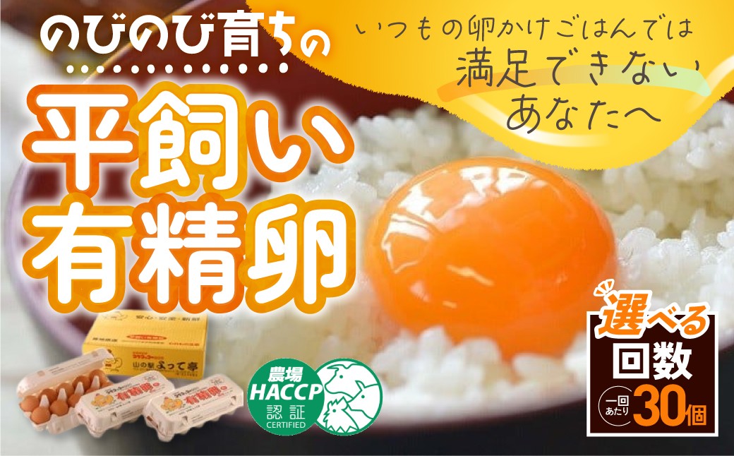 
                  のびのび育ちの平飼い有精卵 30個～90個 （10個入×3P） 選べる回数 1回 3回 6回 定期便 平飼い 有精卵 たまご 卵 玉子 タマゴ 卵 鶏卵 オムレツ 卵 卵かけご飯 たまご焼き 国産 すき焼き 卵 三重県 多気町 JK-P-01
                