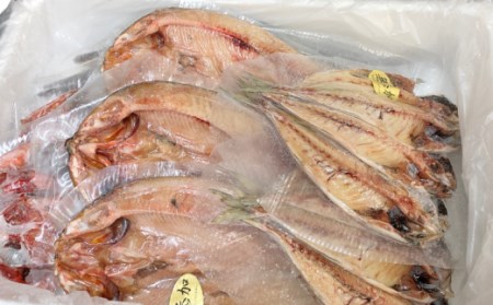 干物 減塩 4種 15枚セット 干物