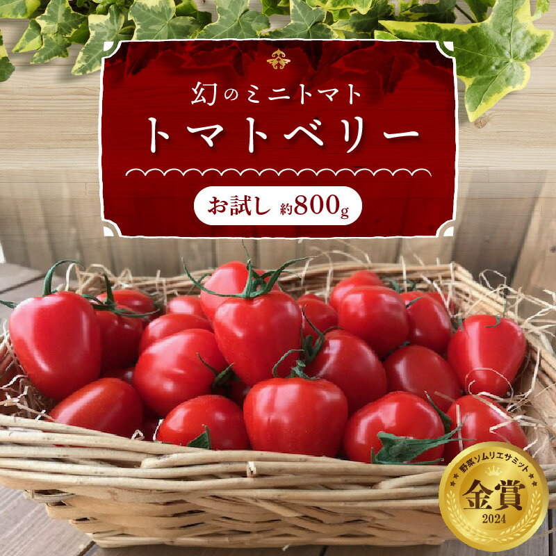 【ふるさと納税】高評価☆4.72 ミニトマト 約800g お試し 幻 トマトベリー フルーツミニトマト 甘い いちご型 野菜ソムリエサミット 金賞 受賞 薄皮 食べやすい 完全木熟栽培 リコピン お取り寄せ グルメ 野菜 産地直送 長田農園 ランキング急上昇 送料無料