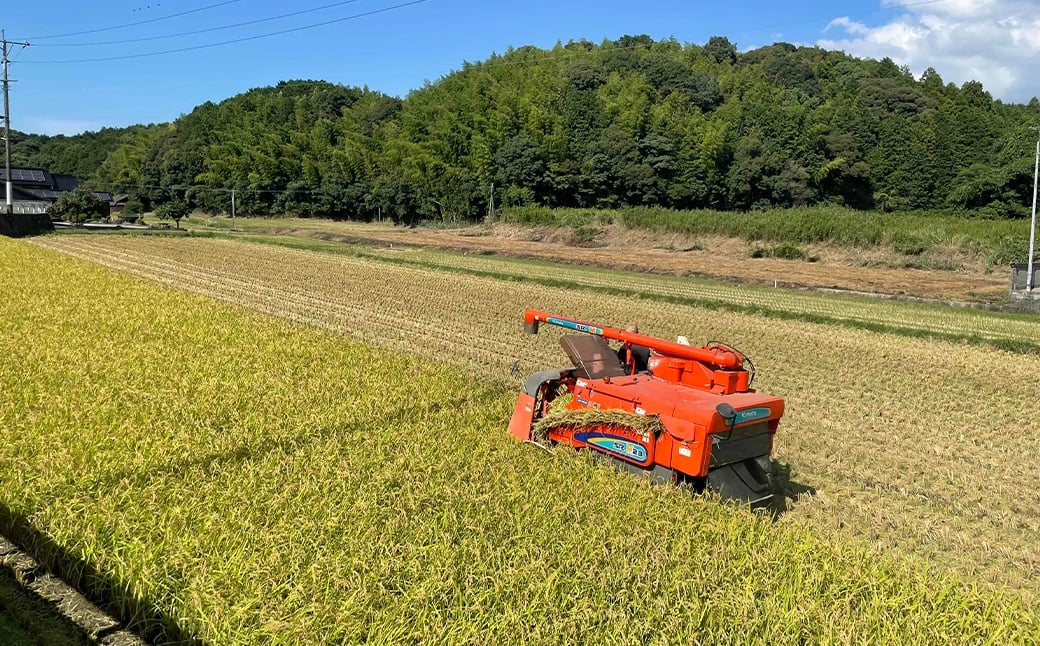 【 令和8年産 】 農家直送！ふっくらやさしい甘み。福岡が誇るお米「 夢つくし 」 20kg
