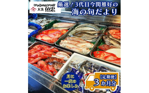 
定期便 3ヶ月 鮮魚店「魚忠」 厳選鮮魚セット 大洗 厳選 旬 魚 さかな
