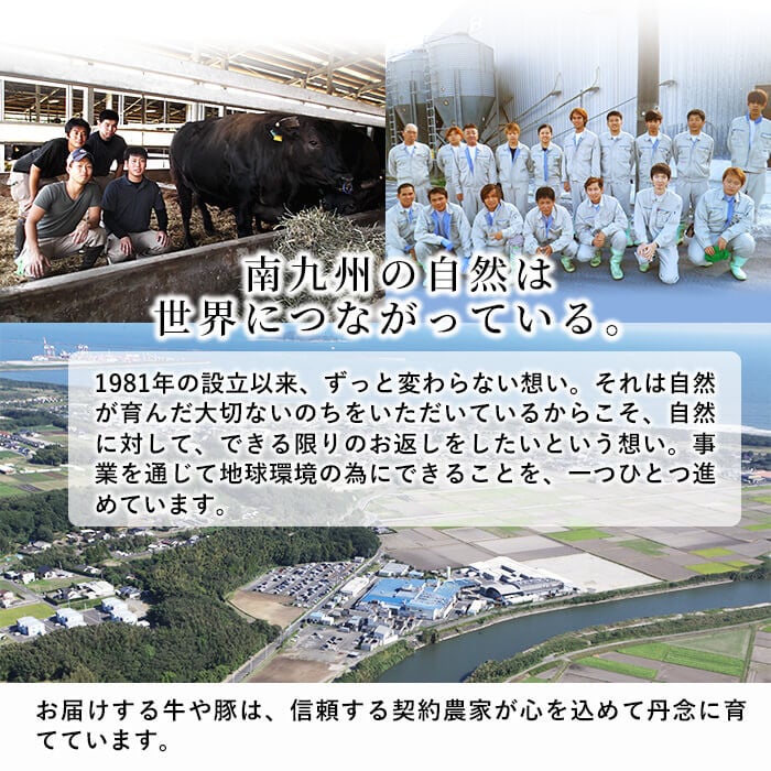 【定期便 全3回】【訳あり・生産者応援企画】九州産 豚切り落とし肉＜計7.2kg・2.4kg×3回＞ t0036-006