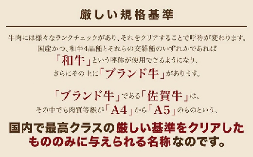 【奇数月6回】 佐賀牛 A5 ロースステーキ 300g×2枚 定期便 _f-37