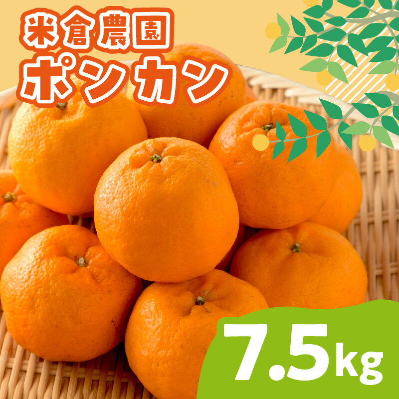 【ふるさと納税】ポンカン 7.5キロ《先行予約2026年1月中旬頃より順次発送予定》