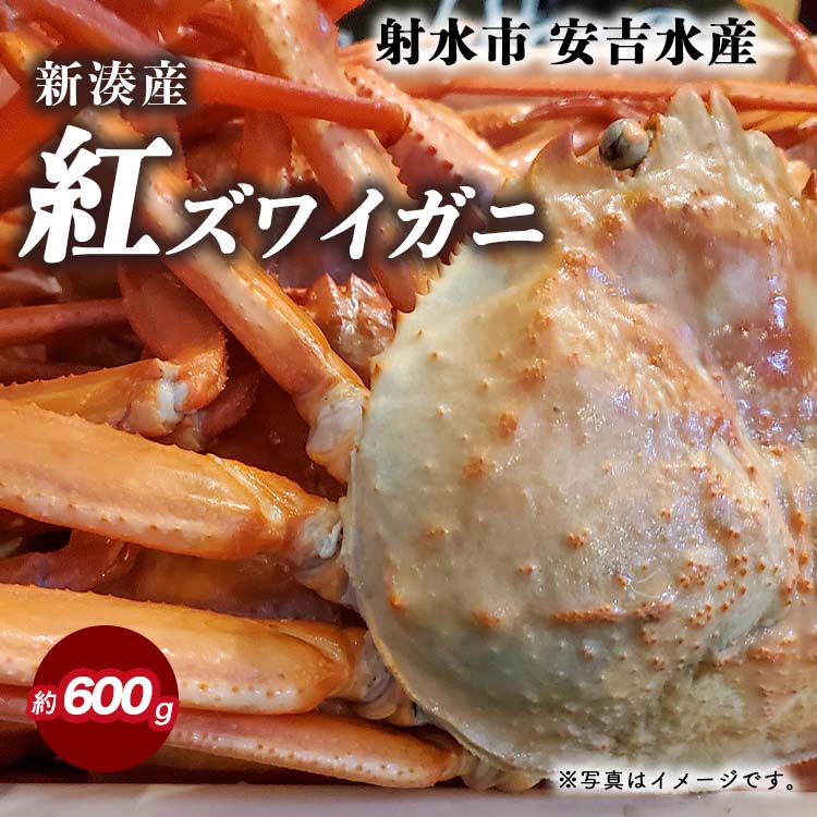 【ふるさと納税】【おすすめ】紅ズワイガニ 約600g【安吉水産】｜ずわい蟹 ずわいガニ ズワイガニ 紅ズワイガニ 約600g