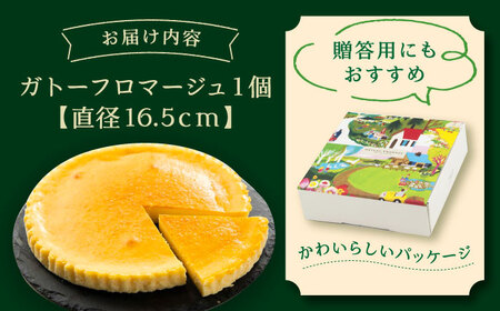 ガトーフロマージュ / チーズケーキ ちーず ケーキ スイーツ 洋菓子 ギフト / 恵那市 / 銀の森[AUBG058]