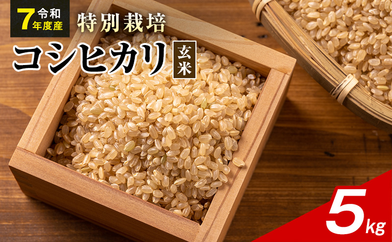 令和7年産 特別栽培米 コシヒカリ 玄米 5kg 静岡県産 色彩選別済 食に意識高い方へオススメ