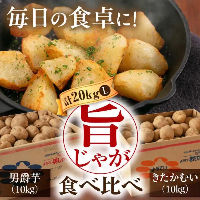  【先行予約】食べ比べセット 20kg  [AJAK015] じゃがいも