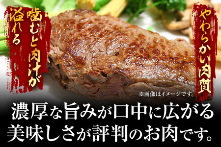 博多和牛ヒレステーキ　450g（150g×3枚） お取り寄せグルメ お取り寄せ 福岡 お土産 九州 福岡土産 取り寄せ グルメ 福岡県