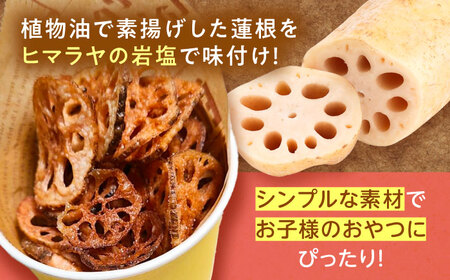 【先行予約 10月より順次発送いたします】 農家が作る レンコンチップ ヒマラヤ岩塩味 おやつ レンコン 蓮根 愛西市 / しのだ農園-SHINODA FARM-[AECE006]