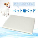 【ふるさと納税】ペット用 洗える ベッド 単品 S アイボリー（68×47×3）　016100