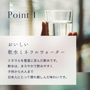 天然水 【12ヶ月お届け】富士山の源流水（9.5L×2本/ケース）ミネラルウォーター