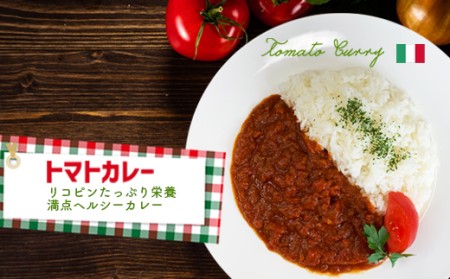 手作り！世界のカレー4種お試しセット(各1食、計4食）[H4530]