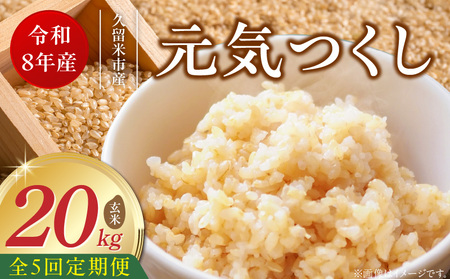 【定期便5回】【令和8年産 新米】福岡県産ブランド米元気つくし 玄米 20kg×5回 _  元気つくし 20kg お届け回数 5回 定期便 福岡県産 ブランド米 新米 福岡生まれ 品種 香り豊か ふっくら 食感 ご飯 おにぎり 弁当 お米 食品 お取り寄せ 九州 久留米市産 福岡県 久留米市 送料無料 _Tk117-05