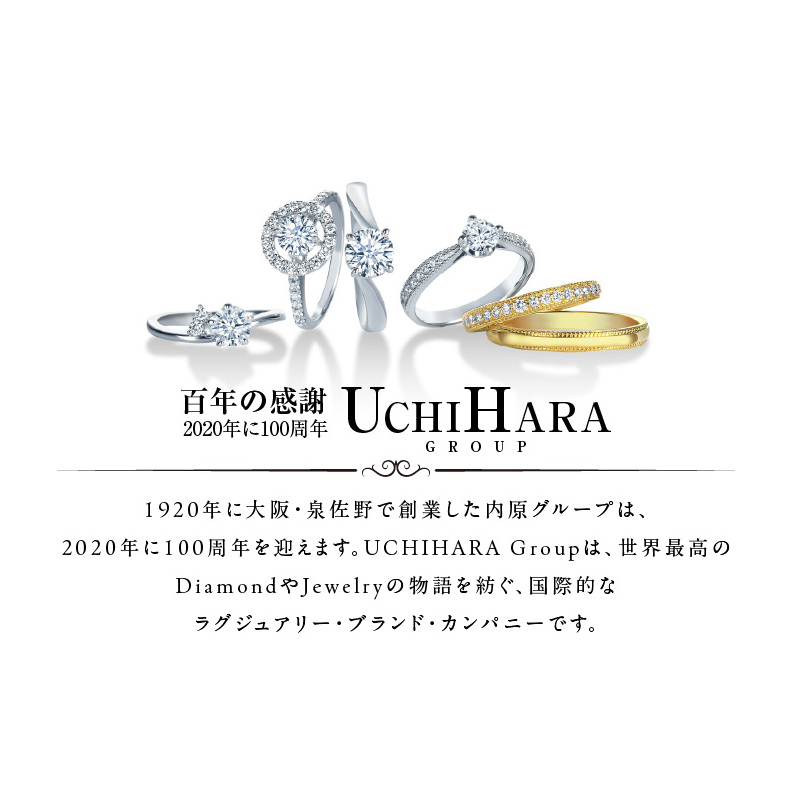 アルカンシェル プラチナダイヤペンダント（計 1.0ct）【鑑別書付き ジュエリー プレゼント ギフト ファッション アクセサリー 贈り物 贈答 お祝い 記念日】 J004-1_イメージ5