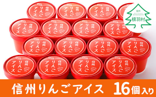 信州りんごアイス たっぷり16個入り アイスクリーム 10000円