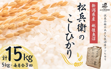 【令和7年産 先行予約】魚沼産コシヒカリ 精米計15kg(5kg×定期便毎月全3回) 松兵衛のこしひかり 従来品種 山口松兵衛農園