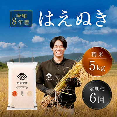 【ふるさと納税】【発送月固定定期便】はえぬき (精米) 5kg 山形県産全6回【4091164】