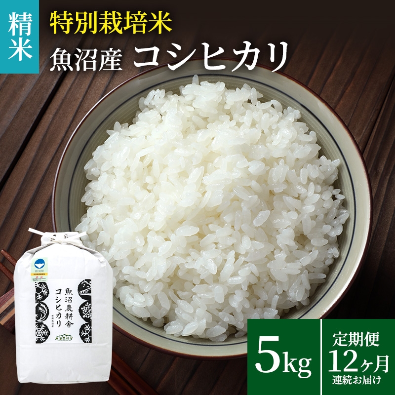 
                  [№5762-0542]米農家自慢の 特別栽培米 魚沼産 コシヒカリ（精米）5kg×1袋 12ヶ月連続お届け お米 
                