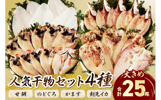 山陰浜田港 水揚げされた大きめ人気干物セット 魚介類 魚貝類 魚介 魚 干物 干もの 一夜干し 干物セット セット 加工品 アカムツ 【025_0426】