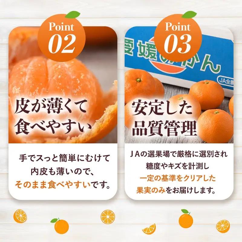 【先行予約】温州みかん 10kg 愛媛県今治市 みかん