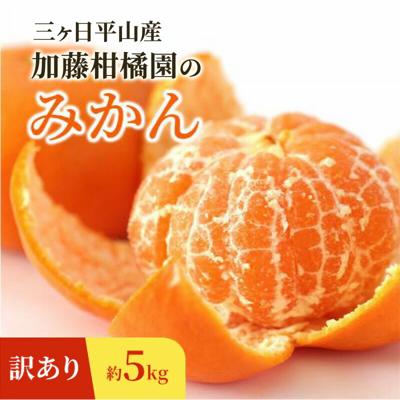【ふるさと納税】【訳あり】三ヶ日平山産 加藤柑橘園のみかん 約5kg みかん ミカン 蜜柑 青島みかん フルーツ 静岡 浜松市　お届け：2026年1月1日～3月31日まで