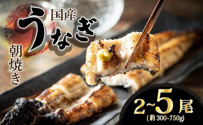 
                  【柳川 朝焼きうなぎ】 選べる うなぎ 約300g~750g 2尾 3尾 4尾 5尾  タレ・山椒3袋 うなぎ 国産 長蒲焼 国産 うなぎ 鰻 ウナギ 蒲焼き 蒲焼 かばやき 魚 魚介 魚貝 海鮮 うな重 ひつまぶし 蒲焼 訳あり ギフト 人気 おすすめ 福岡県 柳川市
                
