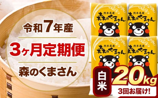 【3ヶ月定期便】 令和7年産 白米  森のくまさん 20kg 5kg×4袋  《お申し込みの翌月から出荷》 熊本県産 白米 精米 米 こめ コメ お米 kome