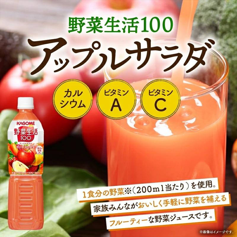 カゴメ 高β-カロテン にんじんジュース 野菜生活100 アップルサラダ 720ml PET 2種 各15本 計30本 ns039-003