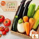 【ふるさと納税】【定期便 全6回】江藤農園おすすめ 湯布院の旬の野菜（12～15種類！）詰め合わせ | 新鮮野菜 自慢の野菜 12種以上 定期配送 旬野菜 セット 詰め合わせ お取り寄せ 九州 大分県 湯布院 由布院 お楽しみ
