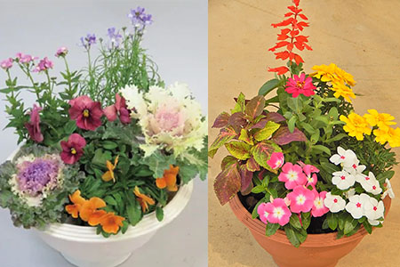 寄せ植え 花 季節のお花 12ポット 用土 鉢 付き ガーデニング プレゼント 育成セット 日用品 園芸 花苗 おすすめ セット 母の日 季節 お花 贈り物 農事組合法人ハイフラワー 埼玉県 羽生市 