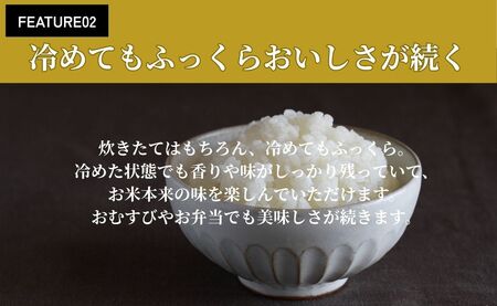 令和7年産 会津産コシヒカリ 米でいいの田゛白米 5kg｜令和7年 2025年 会津産 米 お米 こめ コメ 精米 こしひかり 新米 [1095]