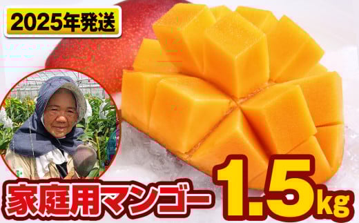 【2025年発送】芳醇な香り　とろける食感　家庭用マンゴー1.5kg