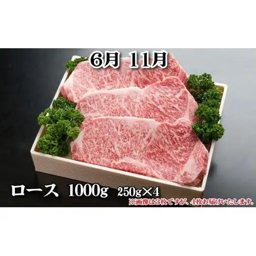 神戸牛 定期便「松」コース 全６回 TK松 [1217]