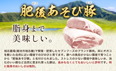 肥後あそび豚 しゃぶしゃぶ用 豚ローススライス 80g×12パック 合計960g《90日以内に出荷予定(土日祝除く)》 株式会社さつま屋産業 ぶた ブタ 豚肉 肉 ブランド豚 ロース肉 スライス 小分