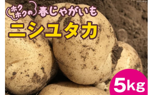 【先行受付】ホクホクの 春じゃがいも 「 ニシユタカ 」5kg [Taji Farming 長崎県 雲仙市 item1237] 野菜 じゃがいも 春じゃが 5キロ