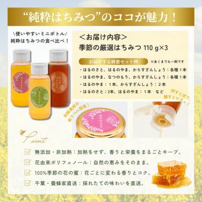 ふるさと納税 大網白里市 千葉県産「厳選純粋はちみつ」110gボトル×3本【ランダムにセレクト】 |  | 03