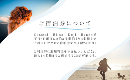 ２泊３日素泊まりプラン宿泊券／４名様まで（平日・日曜宿泊限定） Coastal Bliss Koji Beach 1棟貸切貸別荘 旅行 宿泊 補助券 チケット サウナ ジャクジー 友人 ファミリー お