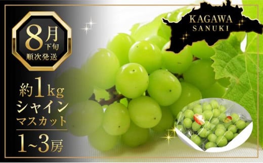 先行予約 シャインマスカット 1kg　(1～3房)【香川県産 大粒 種なし 葡萄 ぶどう フルーツ 国産 旬の採れたて  数量限定】